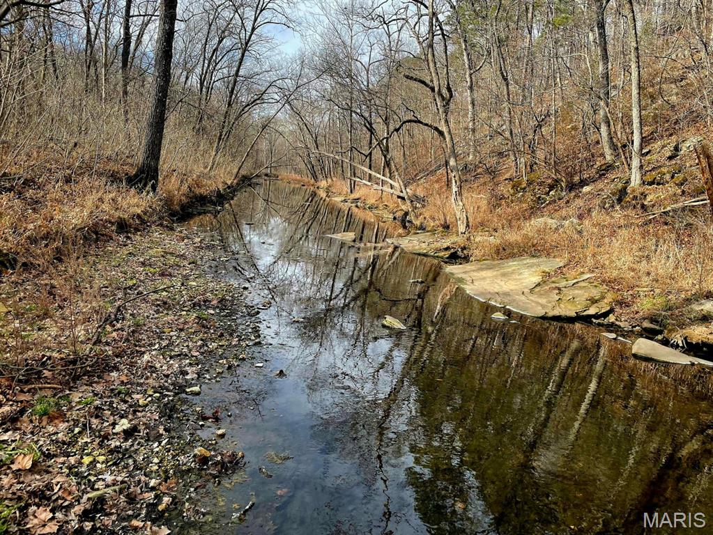 0 West Airport Road Houston, MO 65483 - Photo 24 of 29