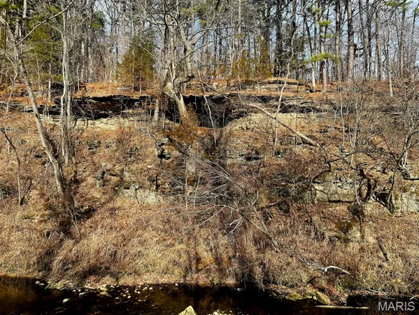 $599,900 | 0 West Airport Road, Houston, MO 65483