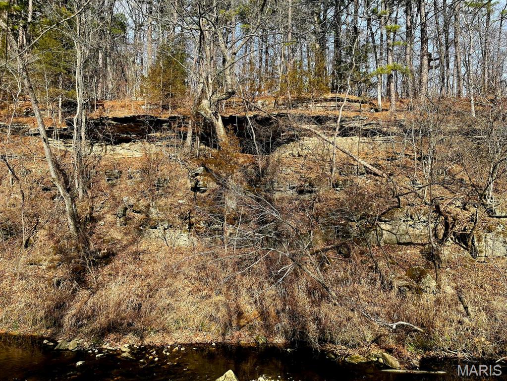 0 West Airport Road Houston, MO 65483 - Photo 25 of 29