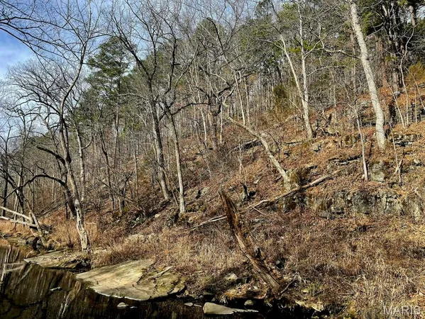 $599,900 | 0 West Airport Road, Houston, MO 65483