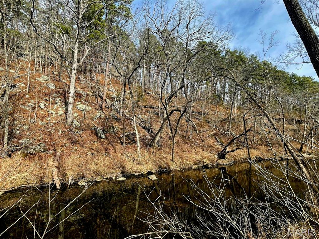 0 West Airport Road Houston, MO 65483 - Photo 27 of 29