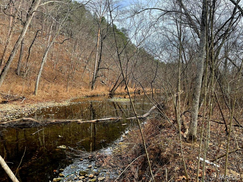 0 West Airport Road Houston, MO 65483 - Photo 28 of 29