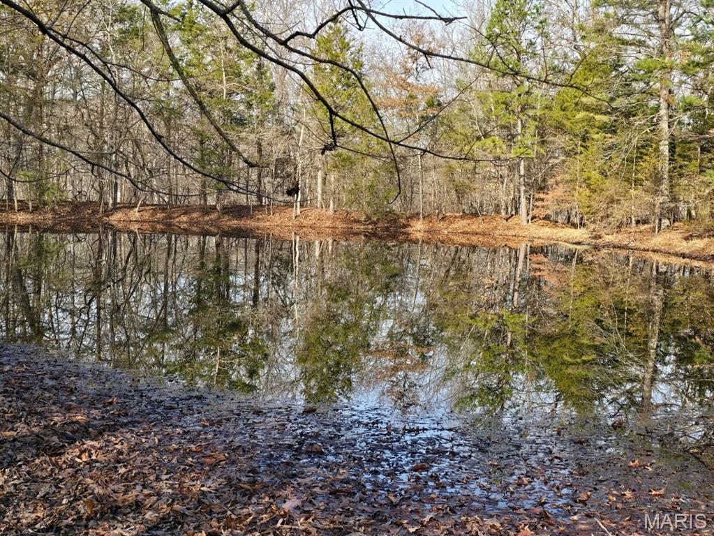 0 West Airport Road Houston, MO 65483 - Photo 3 of 29