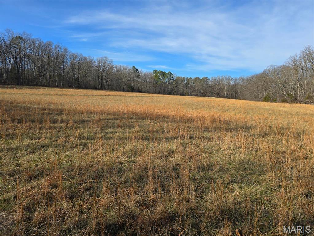 0 West Airport Road Houston, MO 65483 - Photo 4 of 29