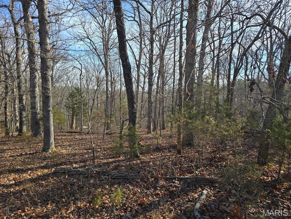 0 West Airport Road Houston, MO 65483 - Photo 6 of 29