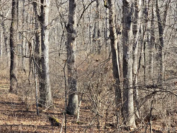 $599,900 | 0 West Airport Road, Houston, MO 65483