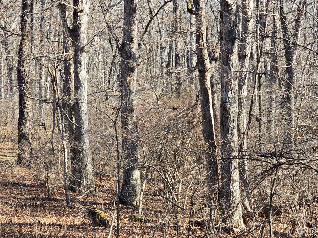 0 West Airport Road Houston, MO 65483 - Photo 7 of 29