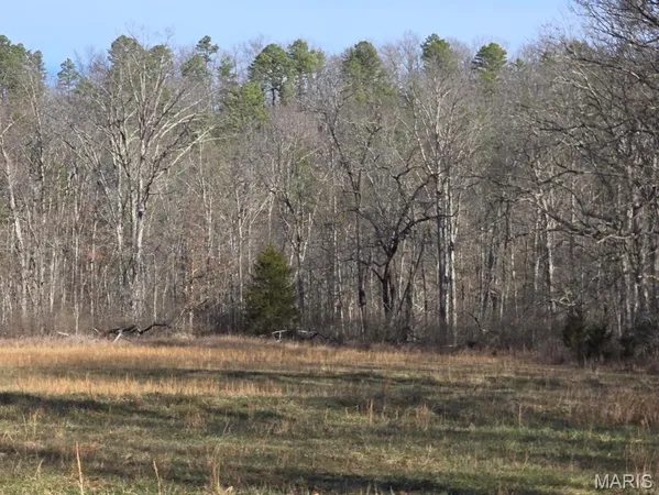 $599,900 | 0 West Airport Road, Houston, MO 65483