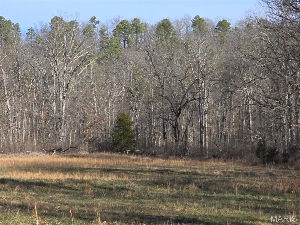 0 West Airport Road Houston, MO 65483 - Photo 8 of 29