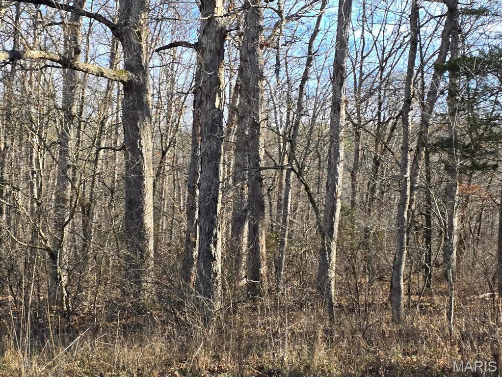 0 West Airport Road Houston, MO 65483 - Photo 9 of 29