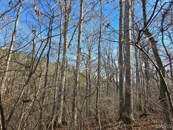 $599,900 | 0 West Airport Road, Houston, MO 65483