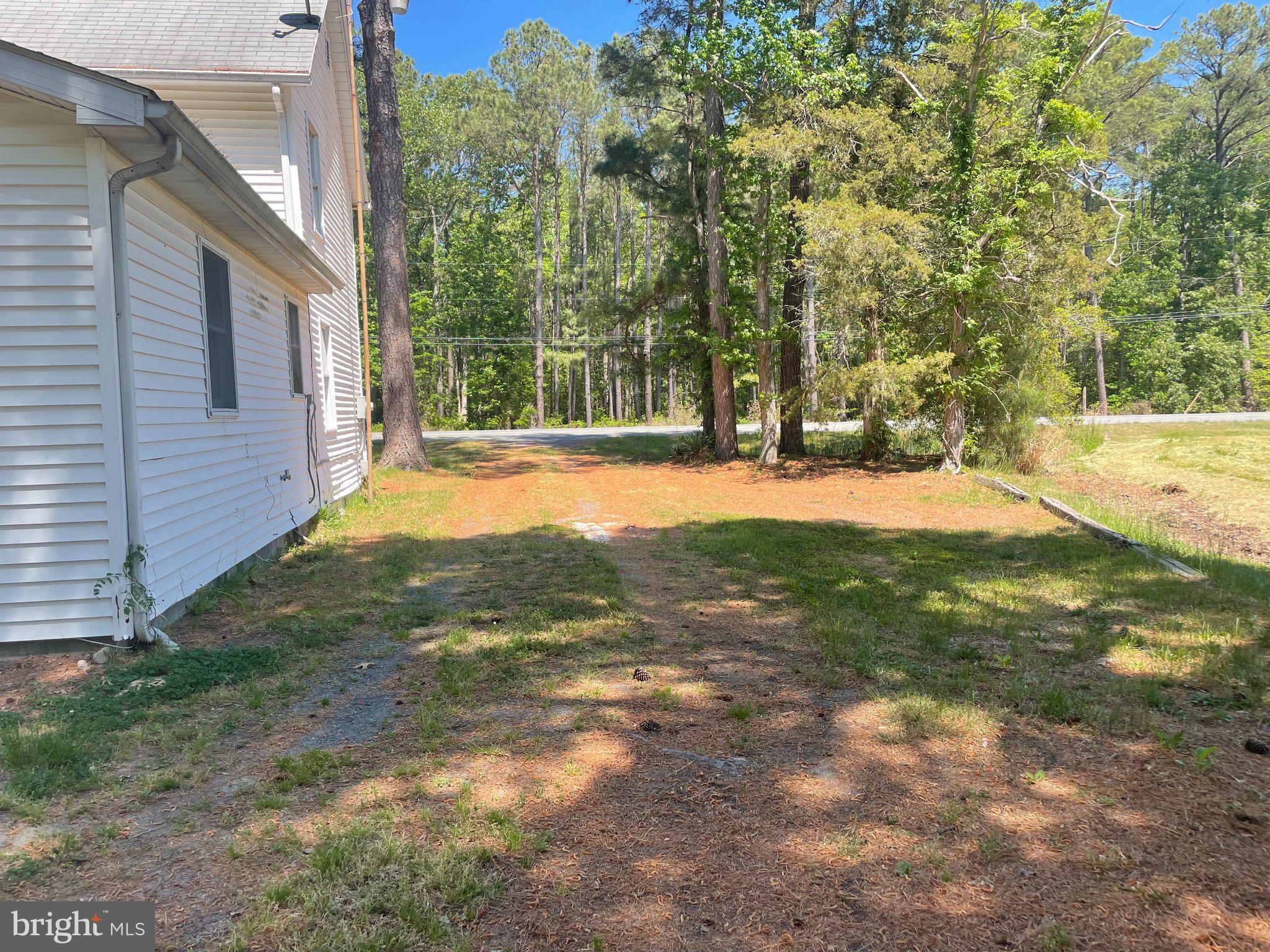 1113 Taylors Island Road Madison, MD 21648 - Photo 33 of 35 a view of a yard with plants and trees