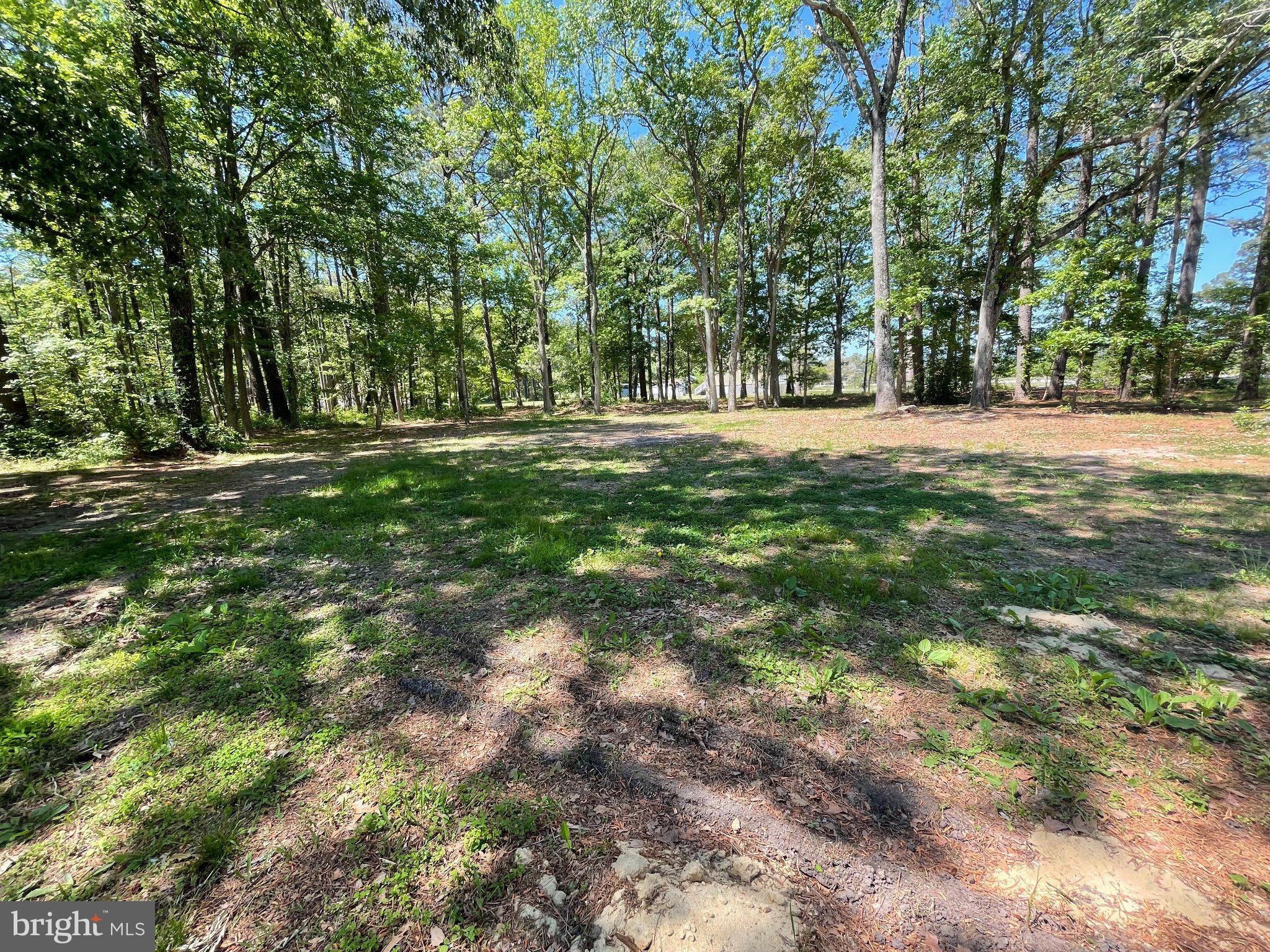1113 Taylors Island Road Madison, MD 21648 - Photo 7 of 35 a view of outdoor space with trees all around