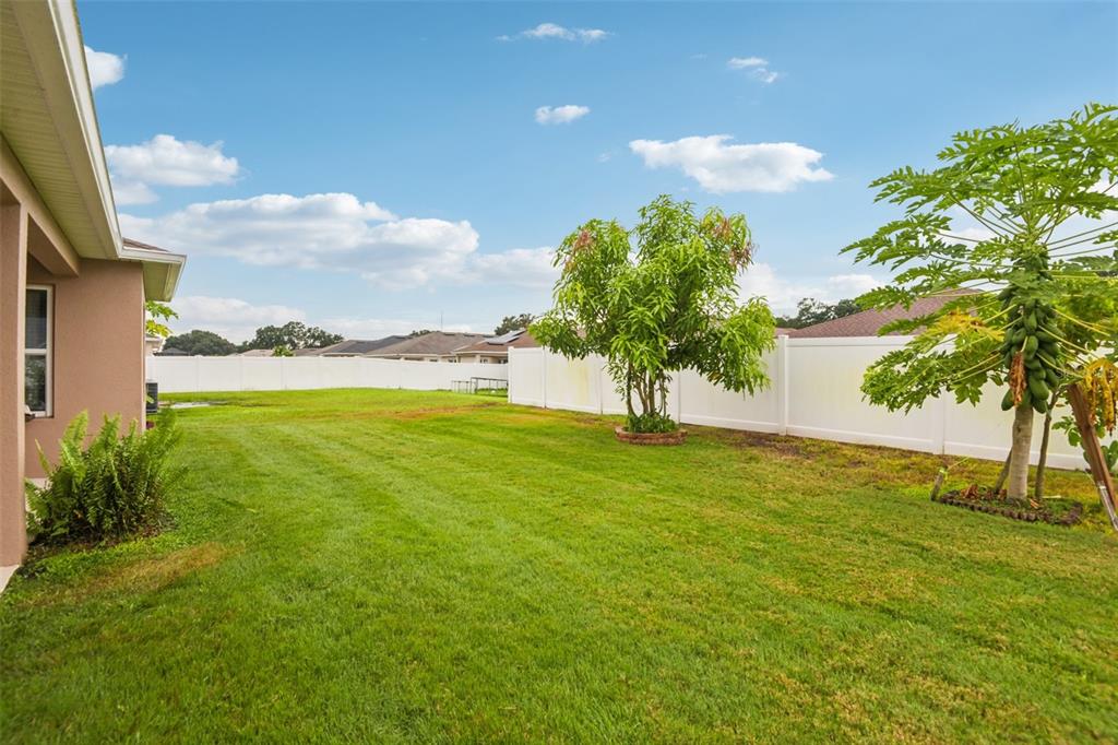 4248 Moon Shadow Loop Mulberry, FL 33860 - Photo 43 of 53