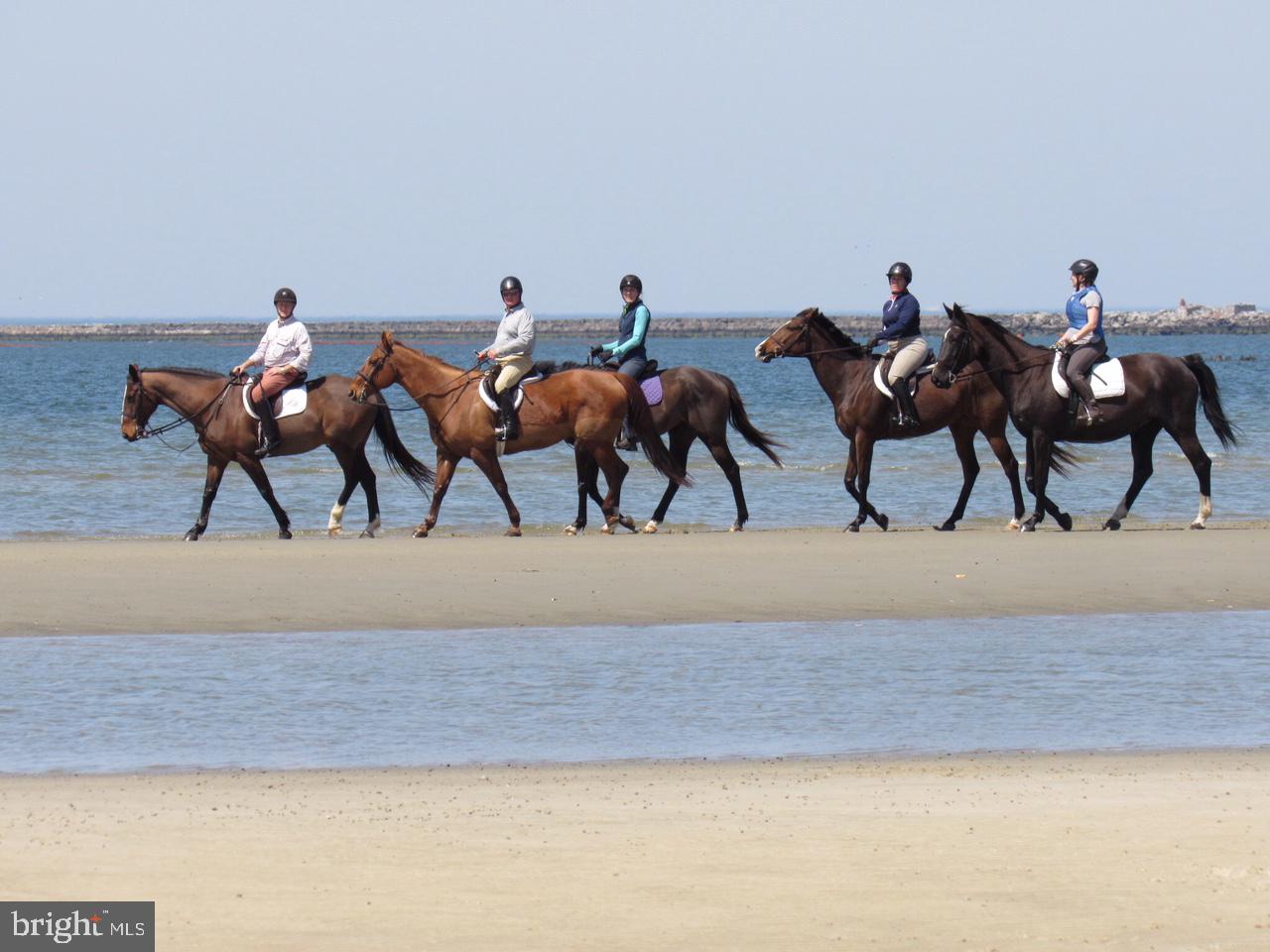 37214 Hudson Road Selbyville, DE 19975 - Photo 6 of 9 a view of dining room and livingroom