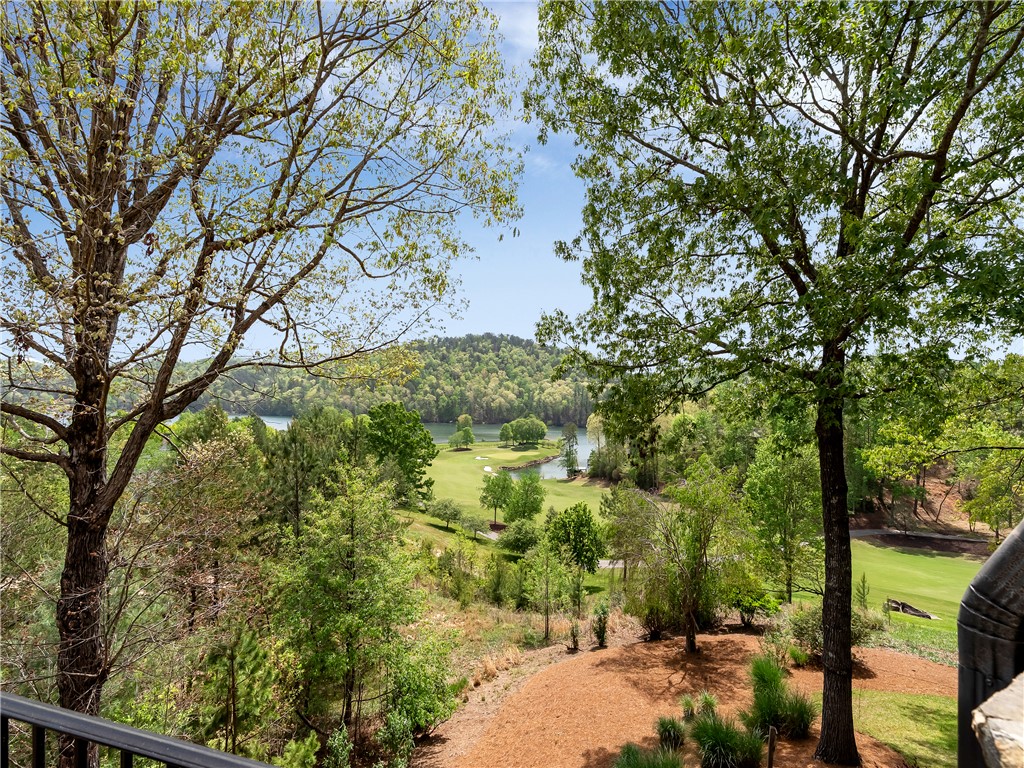220 Long Cove Court Sunset, SC 29685 - Photo 16 of 49