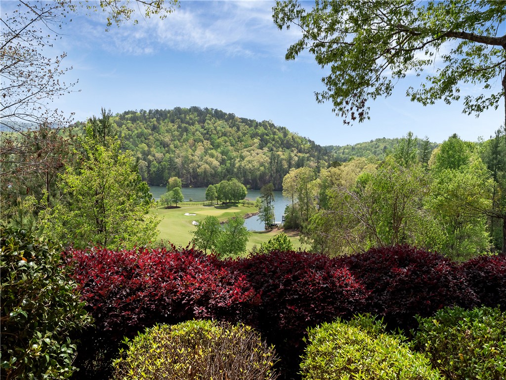 220 Long Cove Court Sunset, SC 29685 - Photo 41 of 49