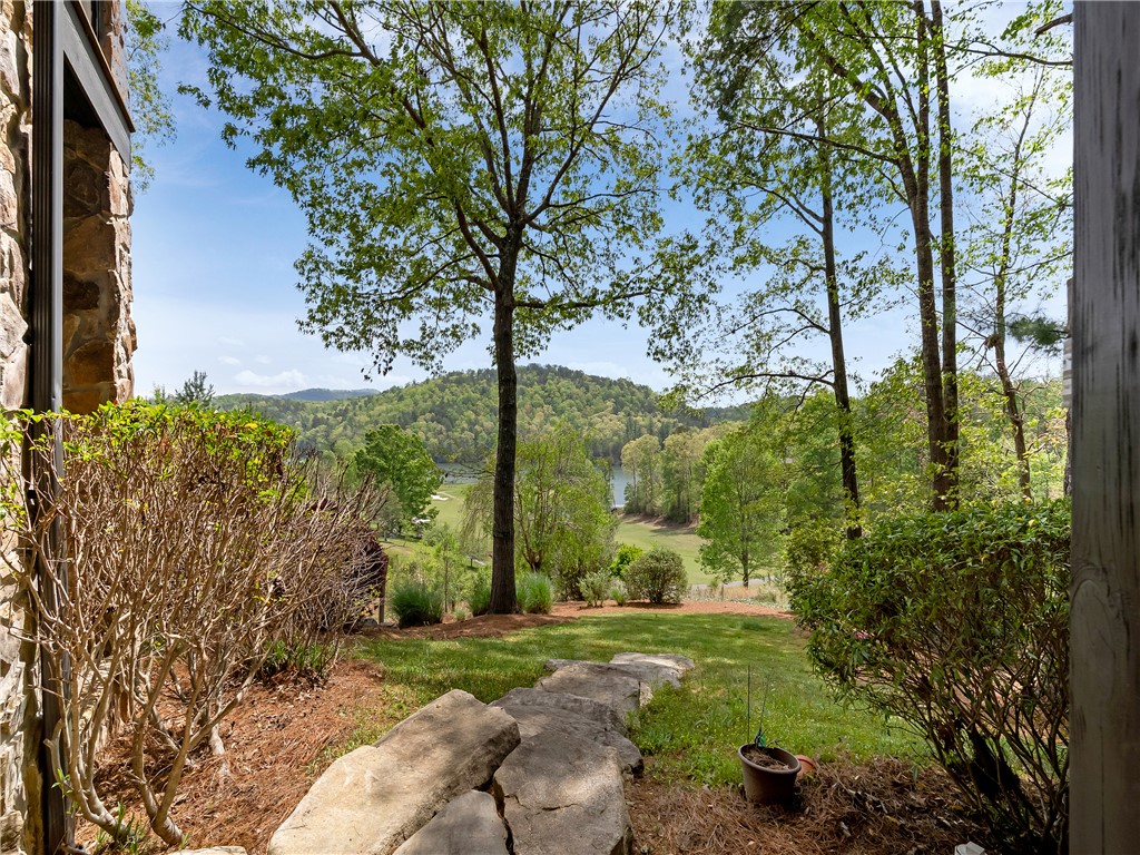 220 Long Cove Court Sunset, SC 29685 - Photo 42 of 49