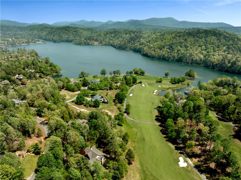 220 Long Cove Court Sunset, SC 29685 - Photo 48 of 49