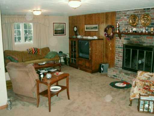 895 Cherry Street Green Tree, PA 15205 - Photo 5 of 8 Gallery Image 5