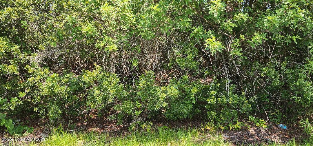 1173 Yakutat Ave Southeast