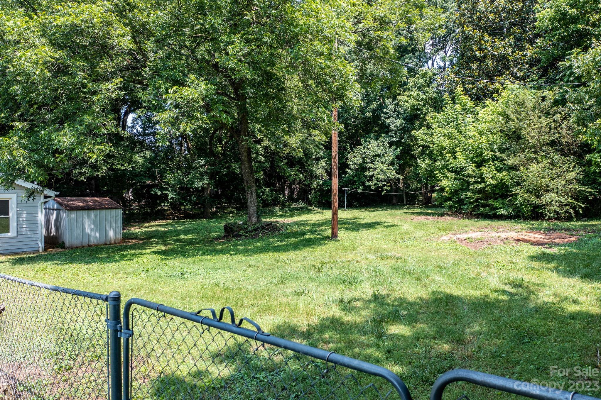 60 Hunter Bridge Road Stony Point, NC 28678 - Photo 34 of 43 a view of backyard with small cabin