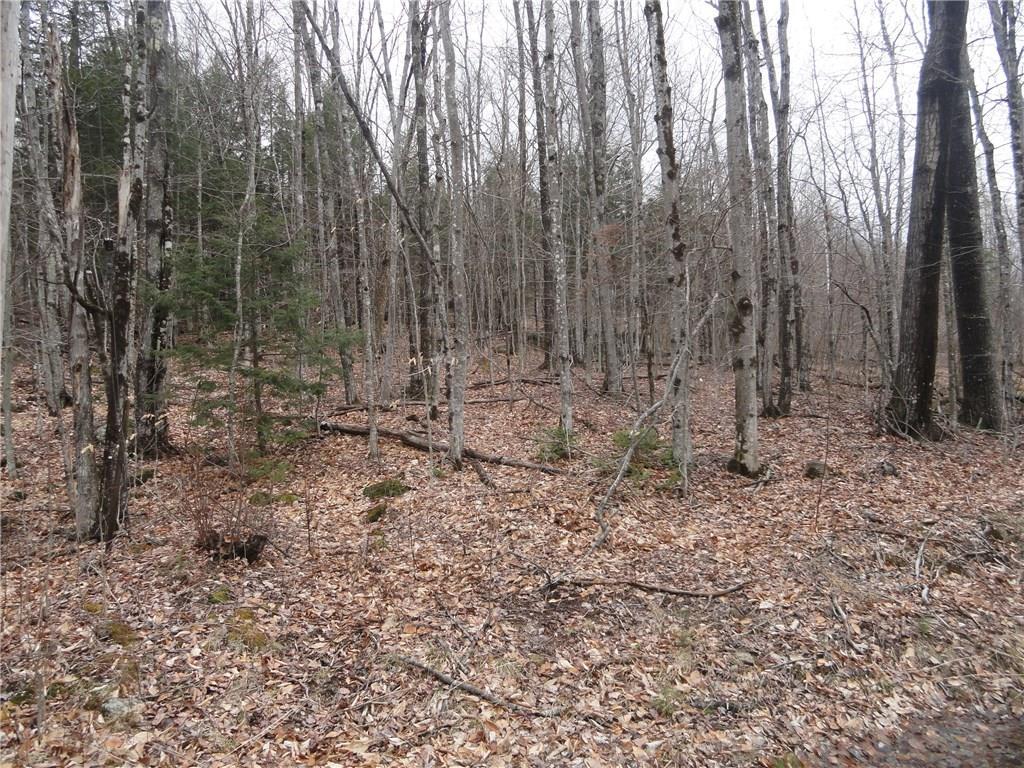 0 Redding-saunders Road Bryant Pond, ME 04219 - Photo 20 of 29 Photo
