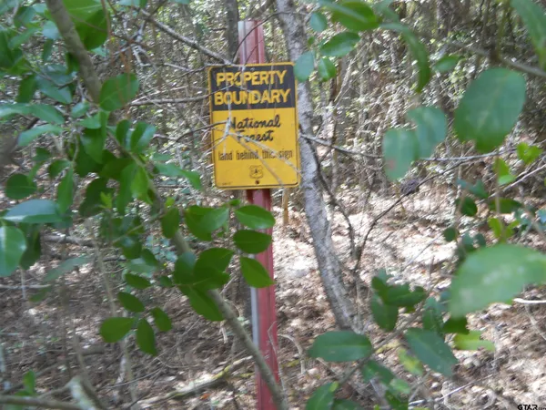 a sign that is on a tree