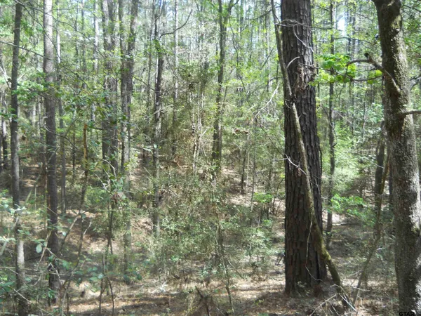 a house with a tree in the background