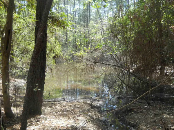 a kitchen with a stove cabinets and a window