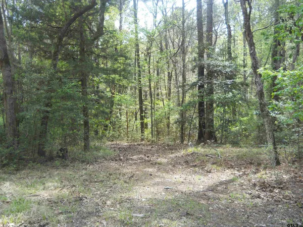 a view of outdoor space and green space
