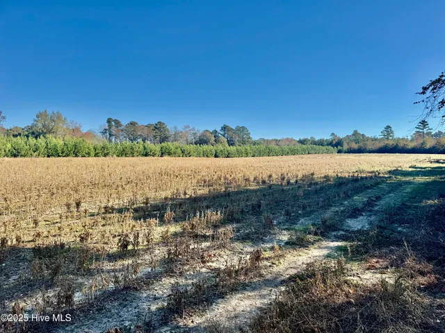 $399,000 | 0 Near 4294 James B Wh, Whiteville, NC 28472
