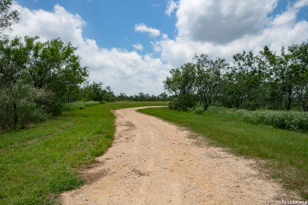1393 Fox Trotter Road Seguin, TX 78155 - Photo 35 of 46