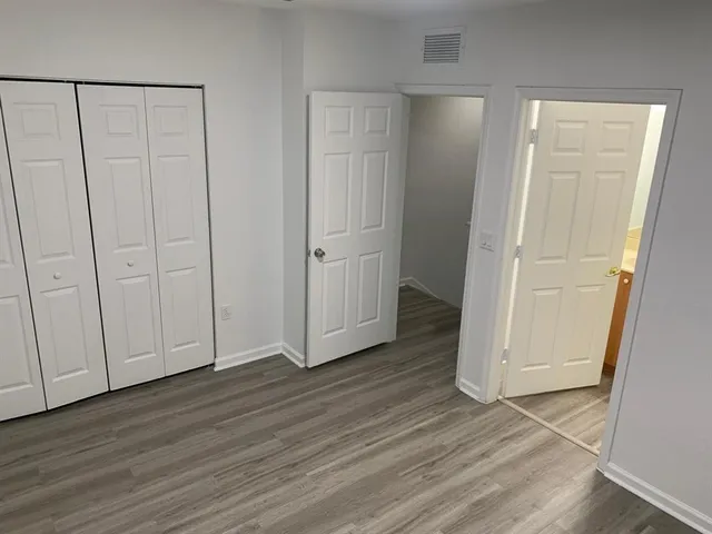 a view of a yard with plants and trees