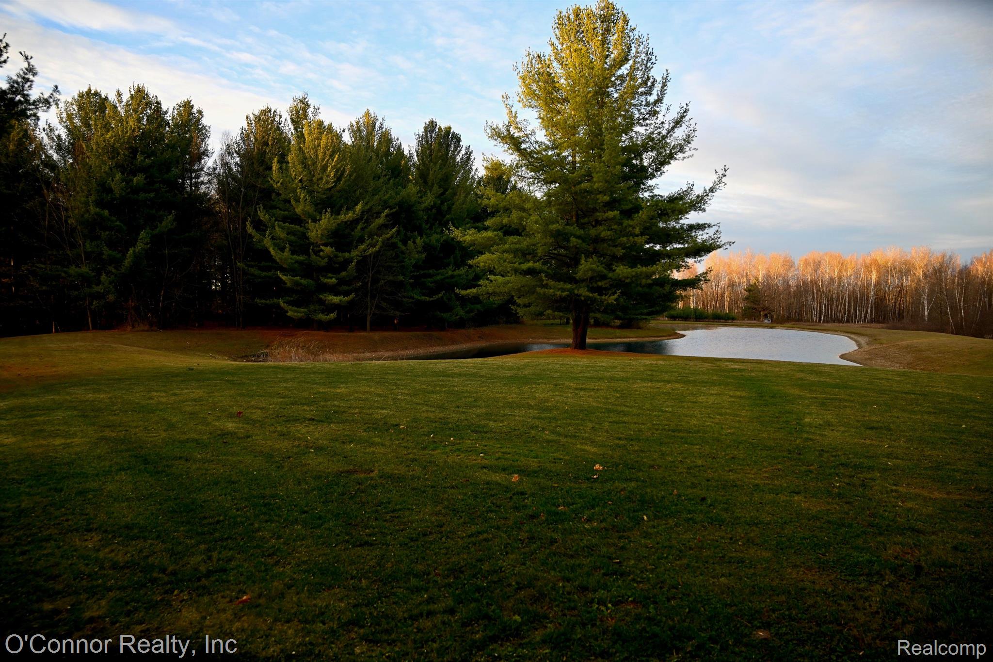 1340 Pitt Road Snover, MI 48472 - Photo 13 of 41 Gallery Image 13