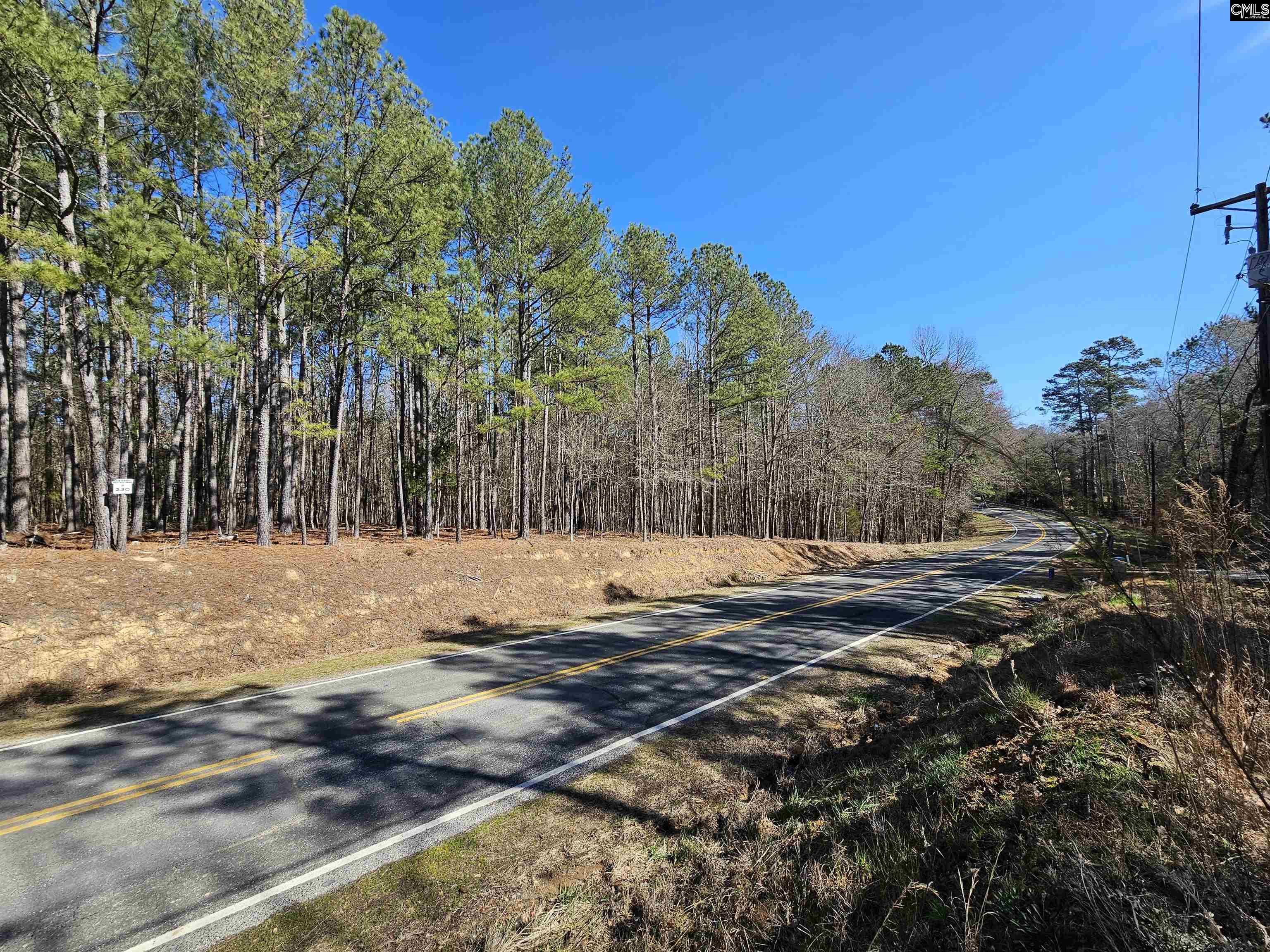 Lot 230 Granny Hill Road Prosperity, SC 29127 - Photo 10 of 42