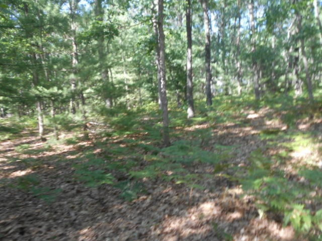 321 North Jack Pine Road Fountain, MI 49410 - Photo 1 of 17 DSCN6909