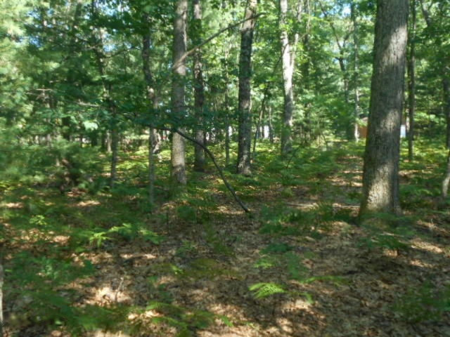 321 North Jack Pine Road Fountain, MI 49410 - Photo 2 of 17 DSCN6910