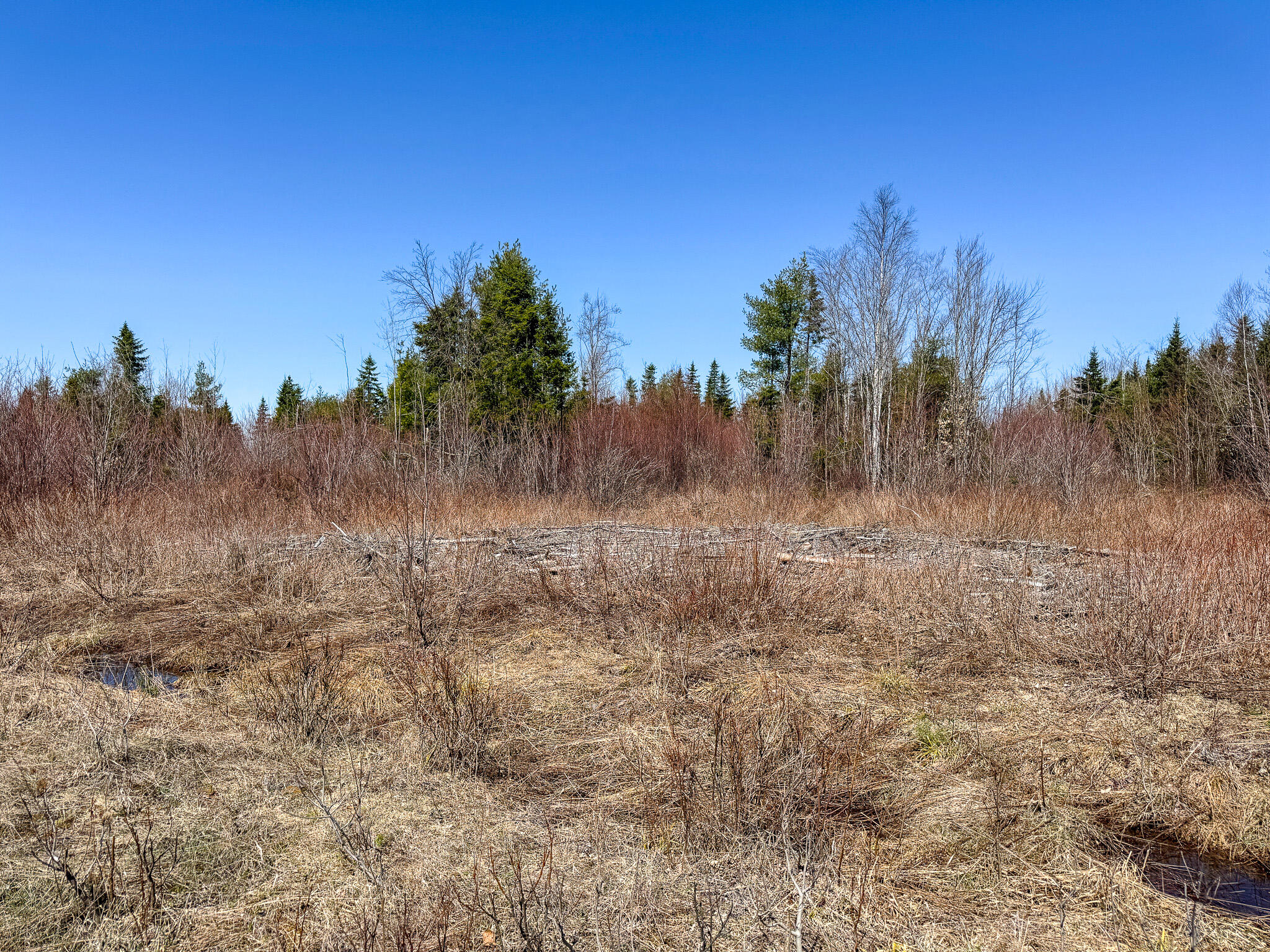 144 Black Water Road Ashland, ME 04732 - Photo 17 of 35 IMG_2654