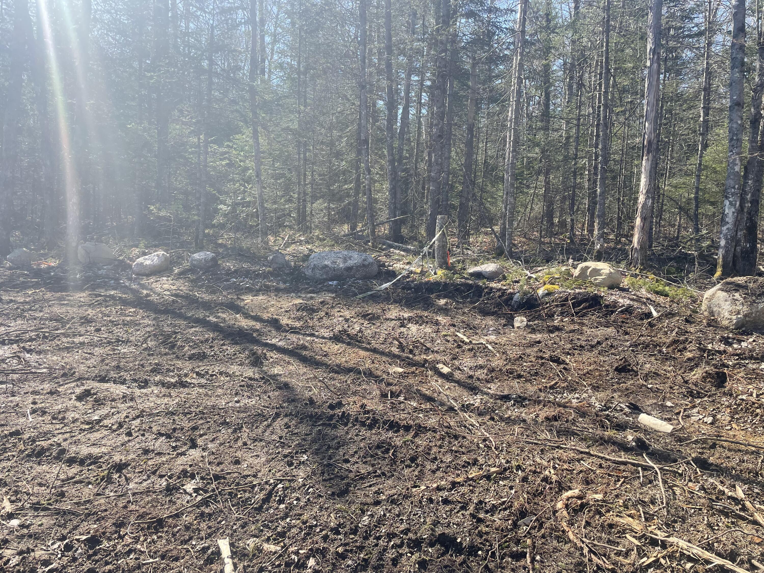 Map19-lot60 High Point Drive Penobscot, ME 04476 - Photo 4 of 15 image00004