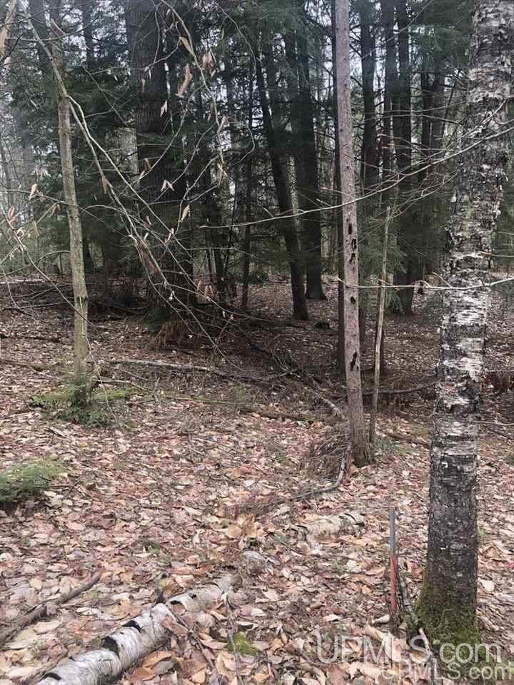 36.5 Shores Road, Unit 22 Manistique, MI 49854 - Photo 5 of 11