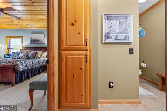 a view of a bunch of trees and bushes