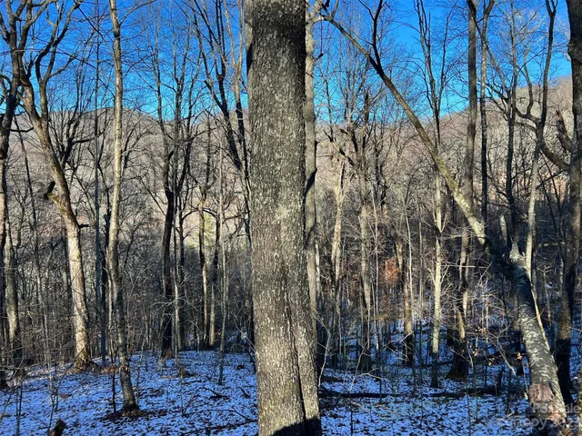 $15,000 | 0 El Miner Drive, Unit 551, Mars Hill, NC 28754