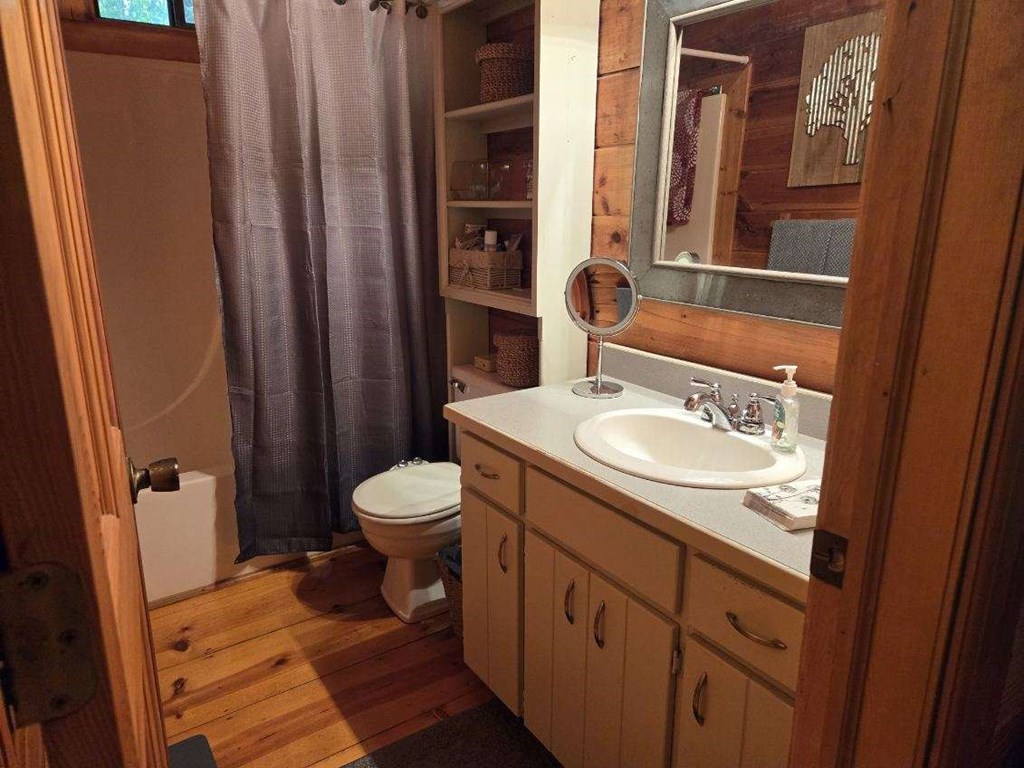 555 Cherry Lake Drive Blue Ridge, GA 30513 - Photo 11 of 33