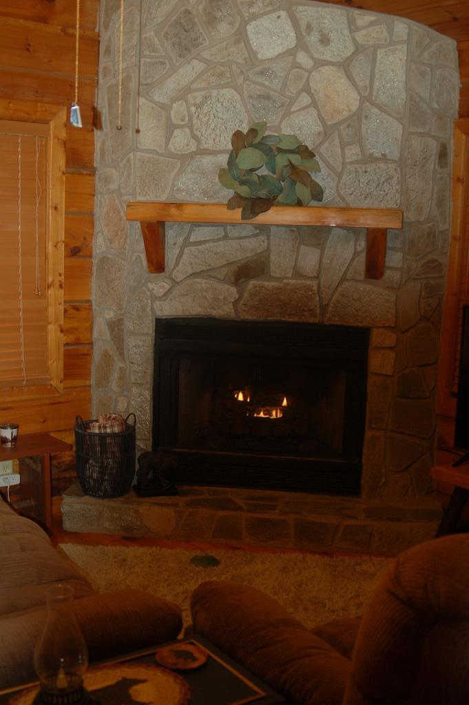 555 Cherry Lake Drive Blue Ridge, GA 30513 - Photo 10 of 33