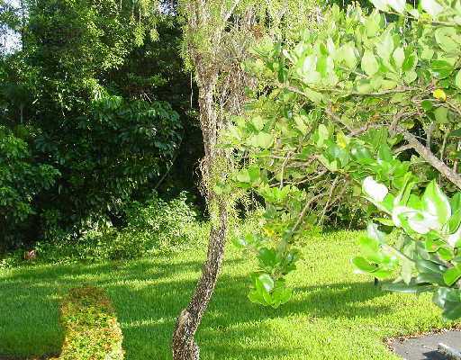 21211 Lago Circle, Unit 11H Boca Raton, FL 33433 - Photo 3 of 6 Additional Photo