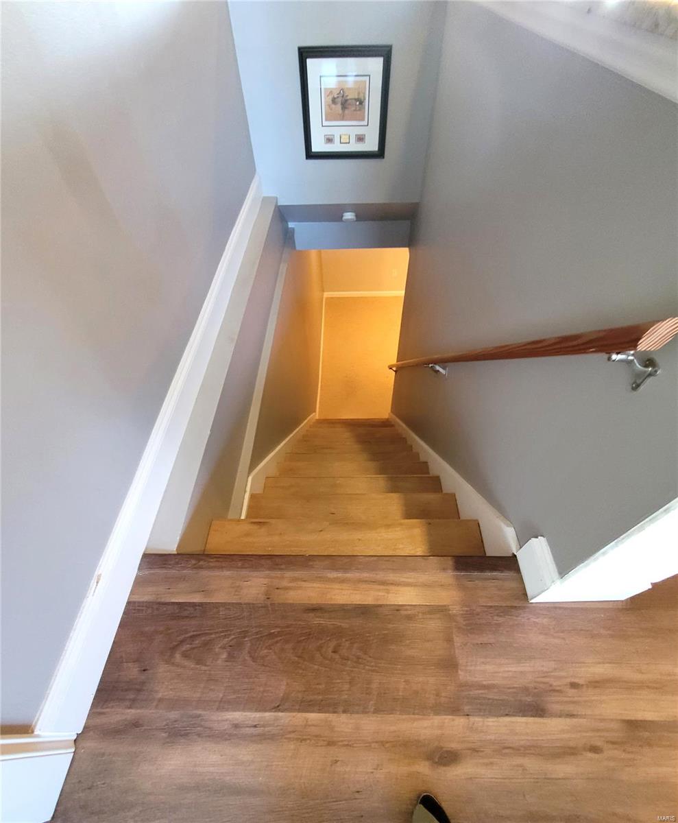 2155 Buffalo Bluff Pacific, MO 63069 - Photo 19 of 48