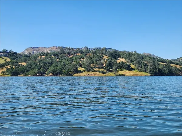 an outdoor space with lots of trees in the background