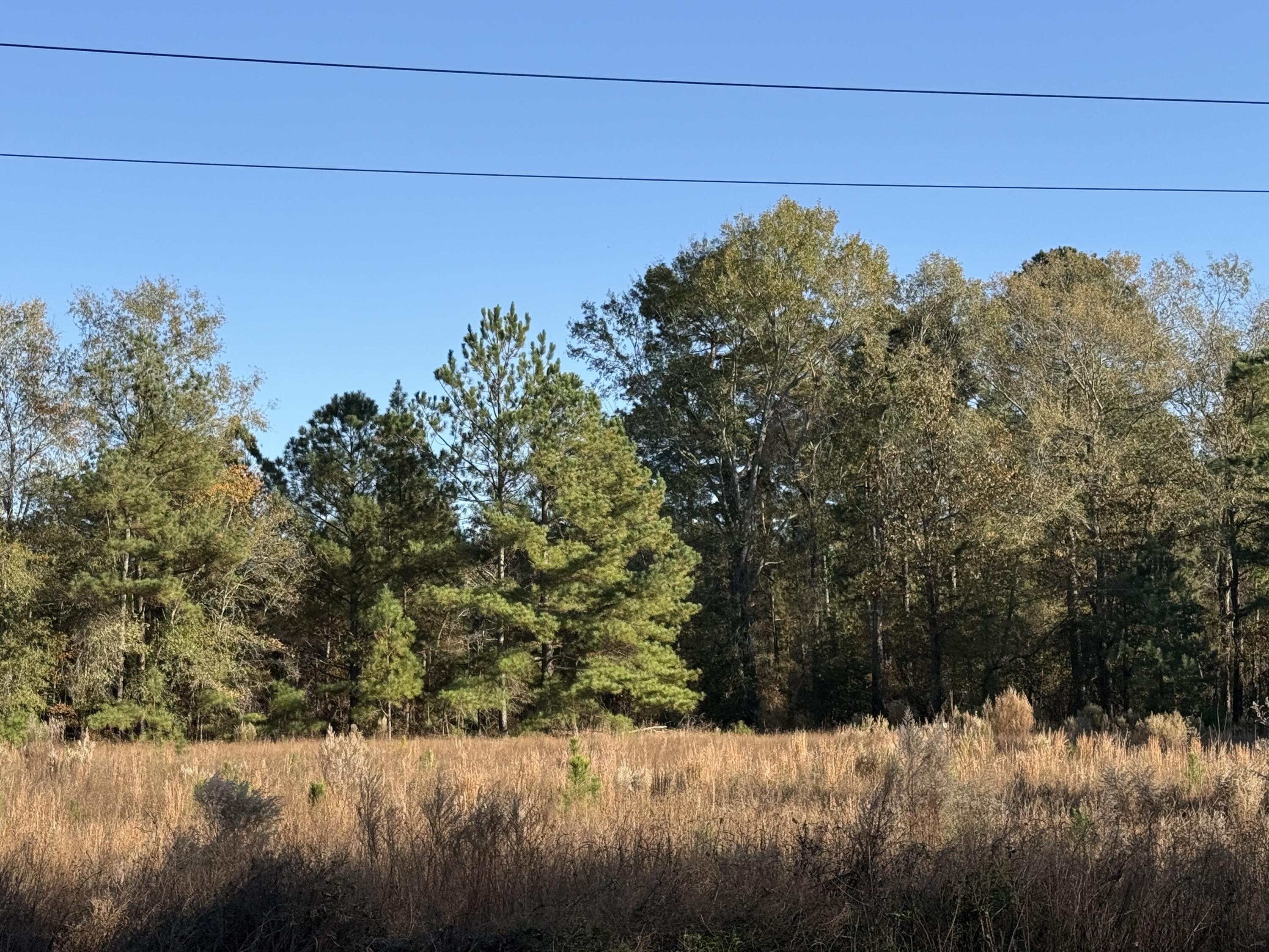 Lot 7 Acre State Park Road Windsor, SC 29856 - Photo 3 of 4