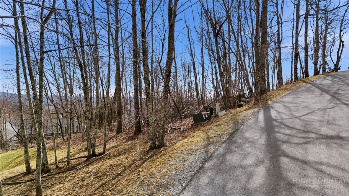 0 Chestnut Ridge Trail Banner Elk, NC 28604 - Photo 20 of 20